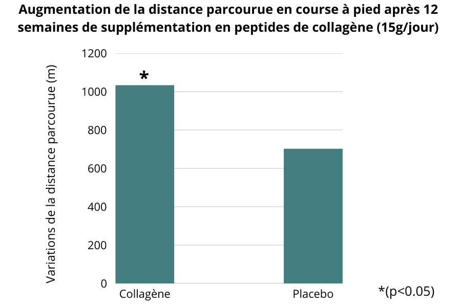 Augmentation de la distance parcourue en course a pied apres 12 semaines de supplementation en peptides de collagene (15g_jour)